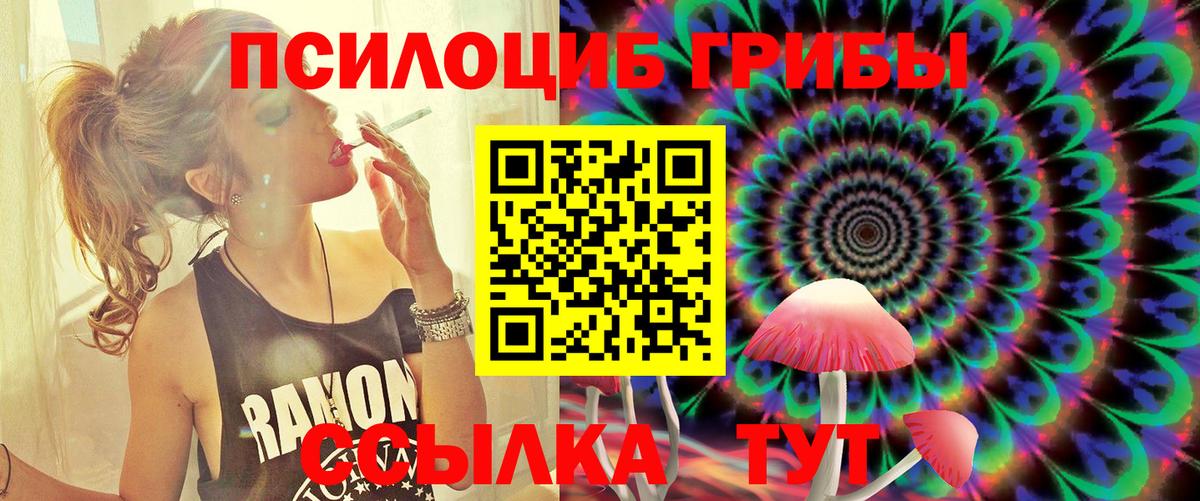 Волгодонск  Псилоцибиновые грибы Cubensis  Вход с VPN 