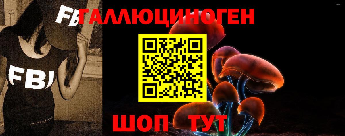 Псилоцибиновые грибы MAGIC MUSHROOMS Волгодонск